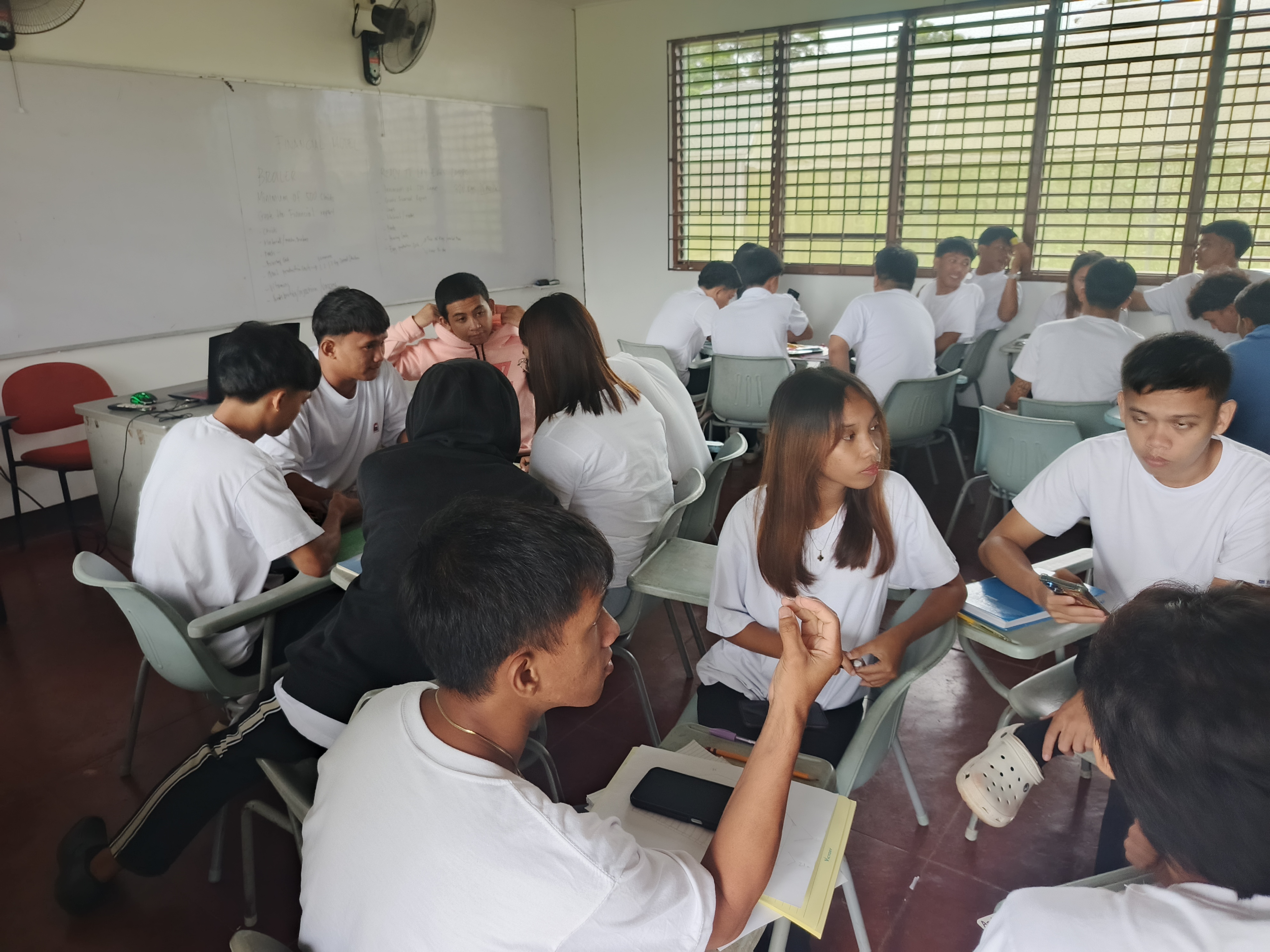 Classroom Activity Poultry